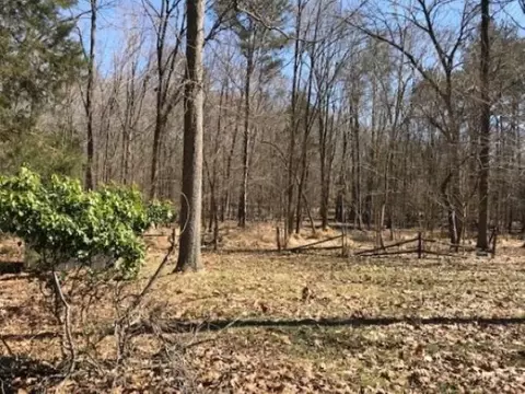 5016 Long Leaf Dr, Durham, NC 27712 photo 18