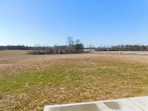 65 Falling Leaf Ln, Benson, NC 27504 photo 17