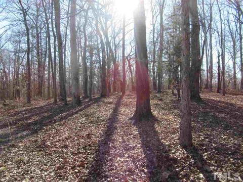 850 Bish Rd, Staley, NC 27355 photo 28