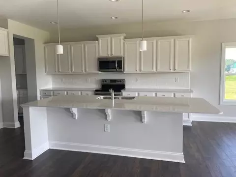 79 Pleasant Grove Ct, Willow Spring, NC 27592 photo 4