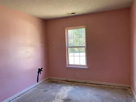 207 Ruby Rdg, Durham, NC 27703 photo 21