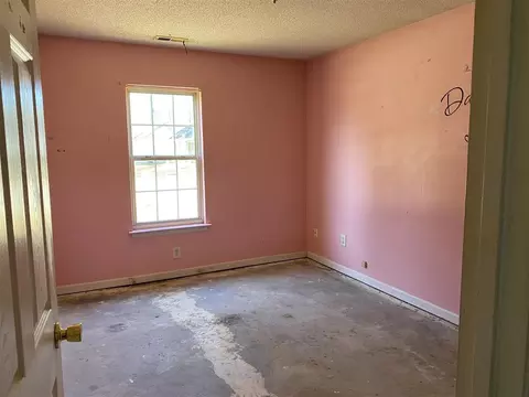 207 Ruby Rdg, Durham, NC 27703 photo 19