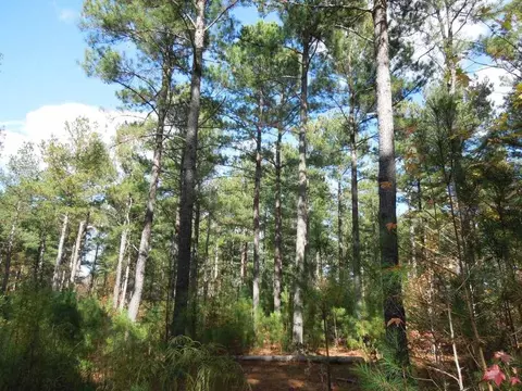 2425 Hughes Mill Rd, Burlington, NC 27217 photo 5