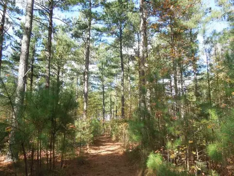 2425 Hughes Mill Rd, Burlington, NC 27217 photo 6