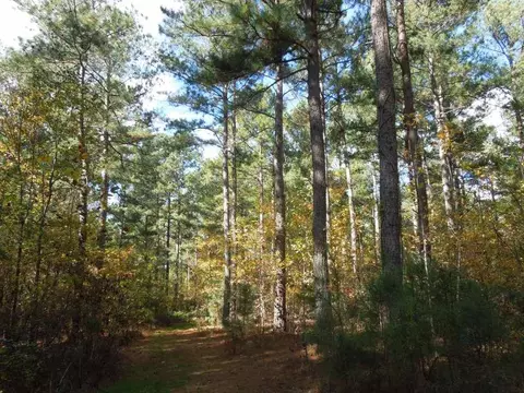 2425 Hughes Mill Rd, Burlington, NC 27217 photo 7