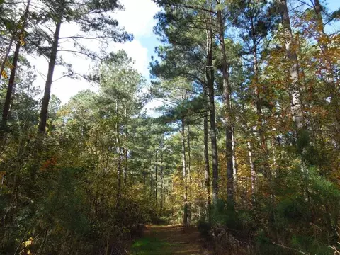 2425 Hughes Mill Rd, Burlington, NC 27217 photo 16