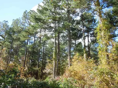 2425 Hughes Mill Rd, Burlington, NC 27217 photo 14