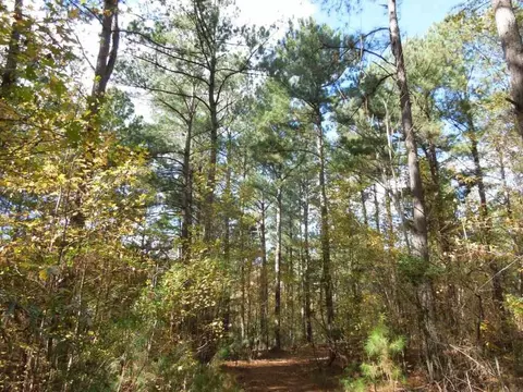 2425 Hughes Mill Rd, Burlington, NC 27217 photo 4