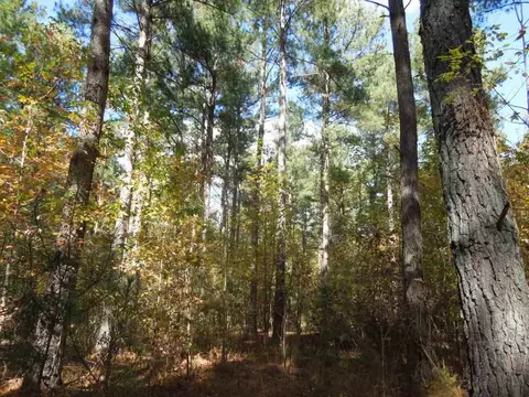 2425 Hughes Mill Rd, Burlington, NC 27217 photo 2