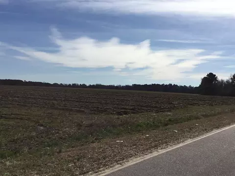 533 Partin Rd, Dunn, NC 28334 photo 26