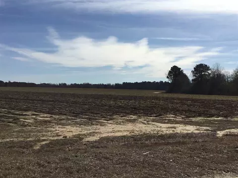 533 Partin Rd, Dunn, NC 28334 photo 29