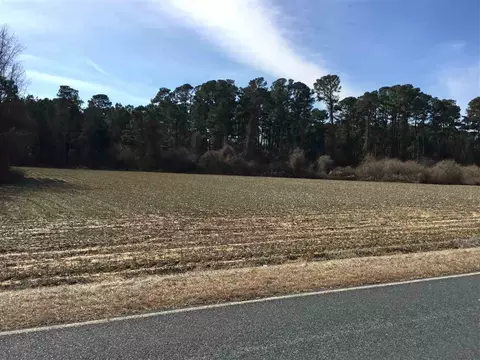 533 Partin Rd, Dunn, NC 28334 photo 3