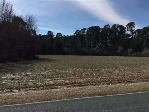 533 Partin Rd, Dunn, NC 28334 photo 4