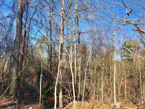 Dees Street, Lillington, NC 27546 photo 2