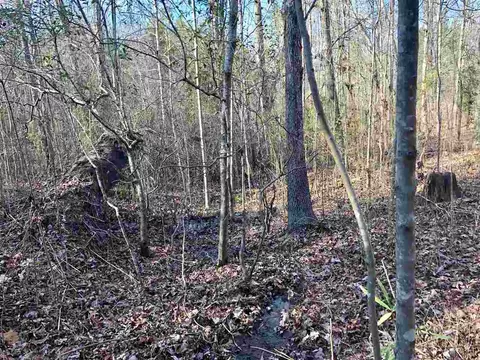 Dees Street, Lillington, NC 27546 photo 4