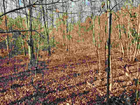 Dees Street, Lillington, NC 27546 photo 5