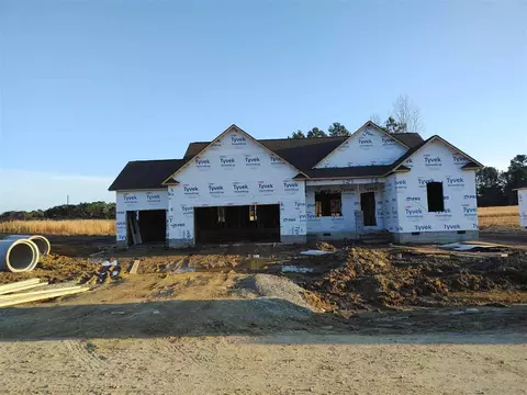 45 Lowery Ln, Benson, NC 27504 photo 1