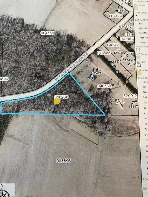 12493 W Old Spring Hope Rd, Middlesex, NC 27557 photo 21