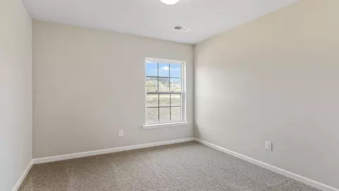 1291 Adrian Ct, Mebane, NC 27302 photo 21