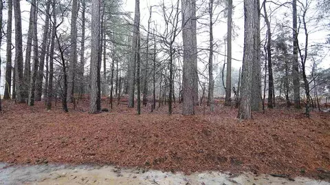 29 Sharpstone Ln, Durham, NC 27703 photo 23