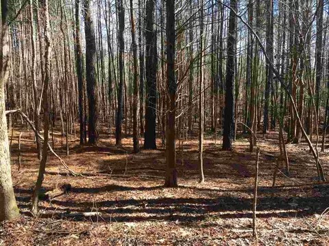 8729 Territory Trl, Wake Forest, NC 27587 photo 6