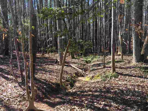 8729 Territory Trl, Wake Forest, NC 27587 photo 4