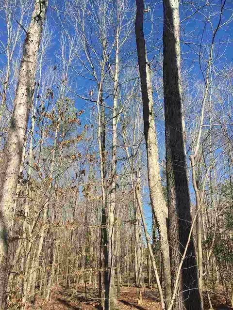 8729 Territory Trl, Wake Forest, NC 27587 photo 8