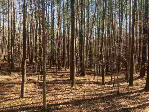 8729 Territory Trl, Wake Forest, NC 27587 photo 5