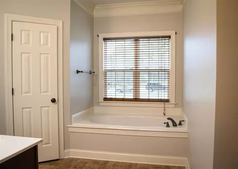 165 Roasted Nut Ln, Smithfield, NC 27577 photo 17