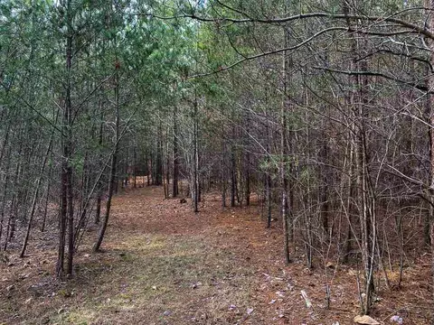 150 Bark Rd, Ruffin, NC 27326 photo 9