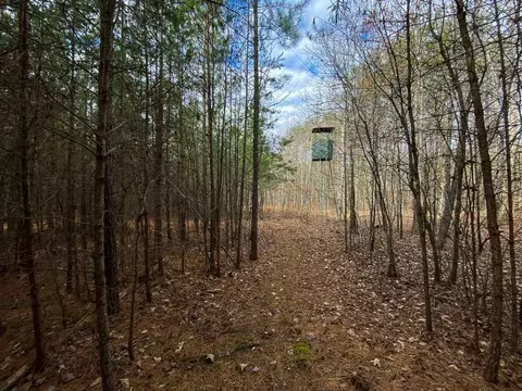 150 Bark Rd, Ruffin, NC 27326 photo 12