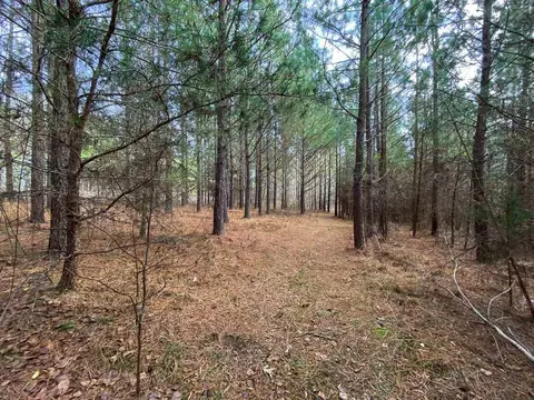 150 Bark Rd, Ruffin, NC 27326 photo 11