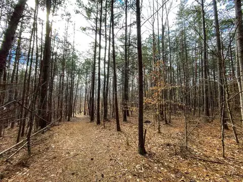 150 Bark Rd, Ruffin, NC 27326 photo 8