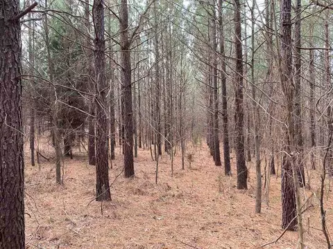 150 Bark Rd, Ruffin, NC 27326 photo 22