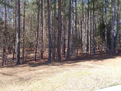 6 Red Spring Ct, Durham, NC 27703 photo 21