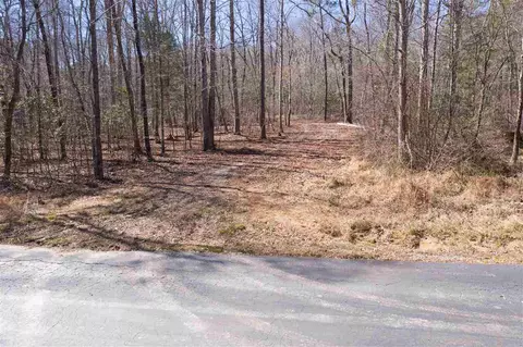 167 Billets Run, Moncure, NC 27559 photo 10