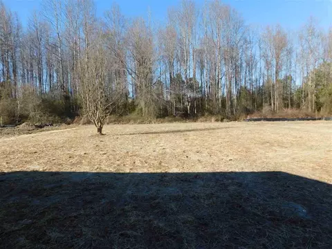 147 Winter Red Way, Benson, NC 27504 photo 15