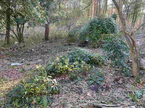 4125 Farrington Rd, Durham, NC 27707 photo 27
