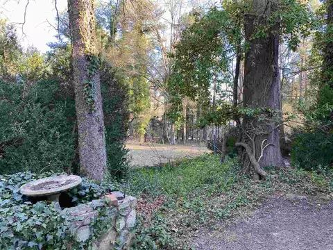 4125 Farrington Rd, Durham, NC 27707 photo 23