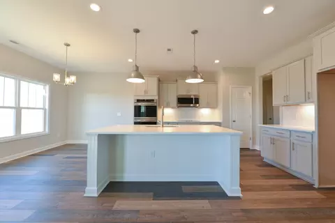 80 Pleasant Grove Ct, Willow Spring, NC 27592 photo 11