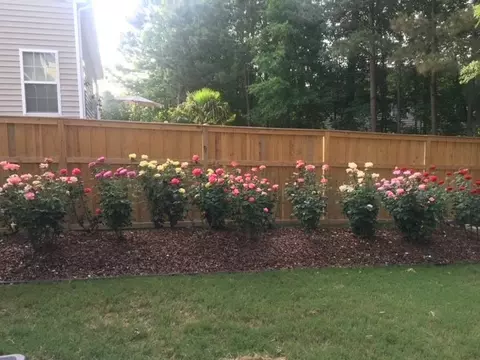 4808 Mistletoe Ln, Durham, NC 27703 photo 2
