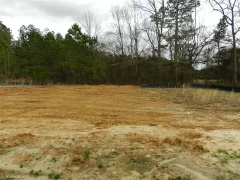 199 Caleb Acres Ln, Smithfield, NC 27577 photo 12