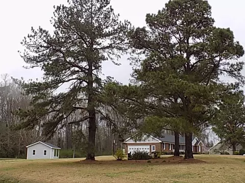 103 Windmere Dr, Angier, NC 27501 photo 5