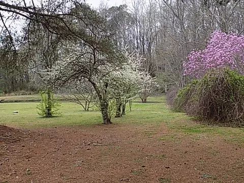 103 Windmere Dr, Angier, NC 27501 photo 13
