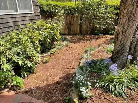 703 Watts St, Durham, NC 27701 photo 28