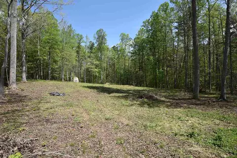 6295 Stearman Dr, Rougemont, NC 27572 photo 1
