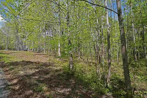 6295 Stearman Dr, Rougemont, NC 27572 photo 11