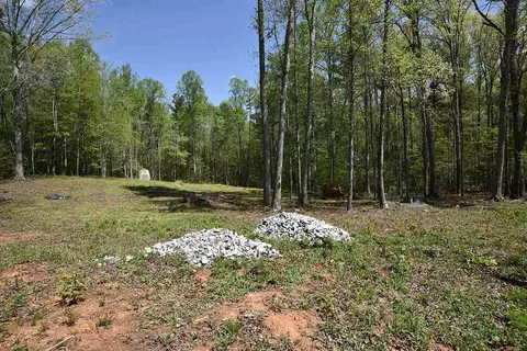 6295 Stearman Dr, Rougemont, NC 27572 photo 5