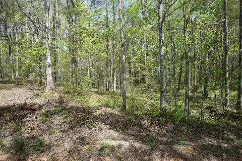 6295 Stearman Dr, Rougemont, NC 27572 photo 9