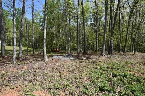 6295 Stearman Dr, Rougemont, NC 27572 photo 4